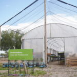 La Ciudad se prepara para inaugurar su primer Vivero Agroforestal Municipal 