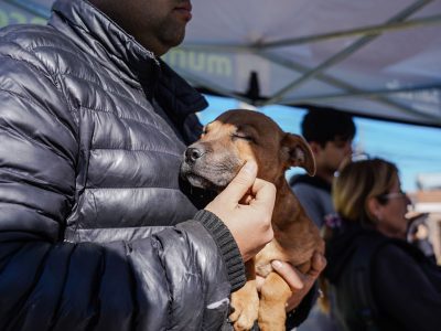 El tráiler de castración de Zoonosis se trasladará al CAV José Hernández