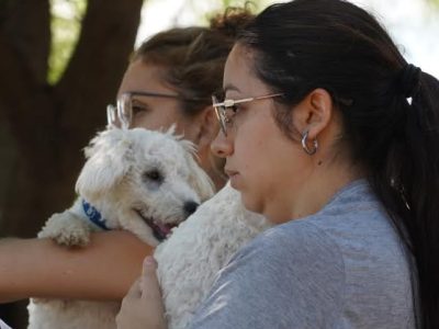 “A nosotros como refugio, nos vino muy bien trabajar con la Municipalidad porque es un gran apoyo”