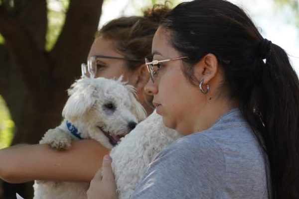 “A nosotros como refugio, nos vino muy bien trabajar con la Municipalidad porque es un gran apoyo”