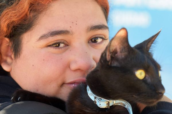 El operativo de Zoonosis se traslada al barrio 1° de Mayo