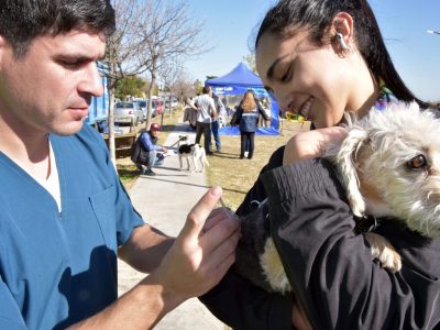 Zoonosis es uno de los servicios más requeridos por los vecinos