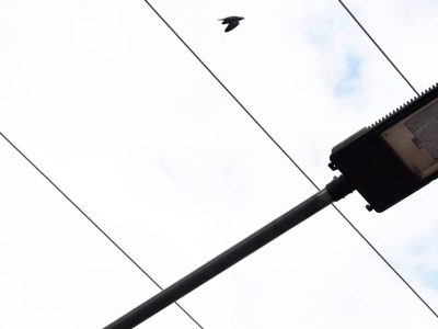 Iluminando tu Barrio: más luz, seguridad y sostenibilidad