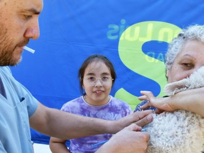 La Muni Más Cerca: se realizaron más de 12.400 atenciones veterinarias gratuitas