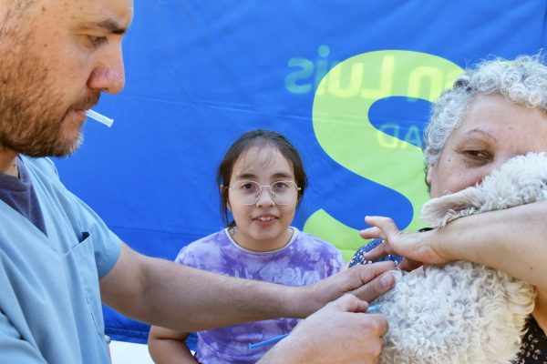 La Muni Más Cerca: se realizaron más de 12.400 atenciones veterinarias gratuitas
