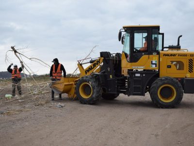 Realizaron trabajos de limpieza en un espacio verde de la zona sur