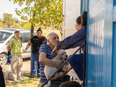 El tráiler de castración de Zoonosis se trasladará al barrio 500 Viviendas Norte