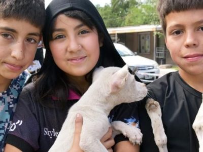 Zoonosis comienza un nuevo operativo de salud animal en el barrio 1° de Mayo