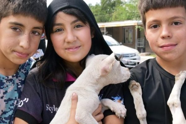 Zoonosis comienza un nuevo operativo de salud animal en el barrio 1° de Mayo