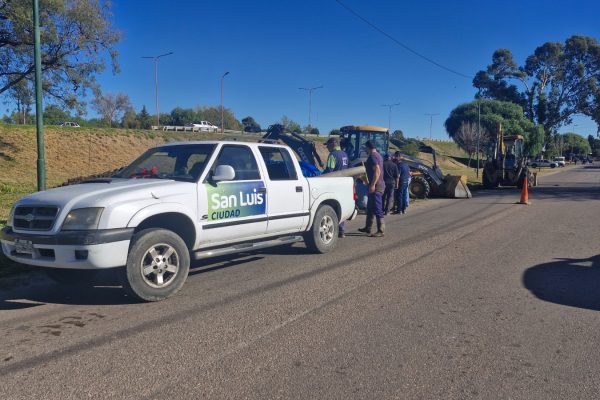 WhatsApp Image 2026-03-09 at 6.12.40 PM